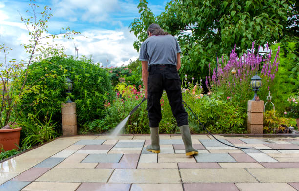 Best Residential Pressure Washing in Alto, GA