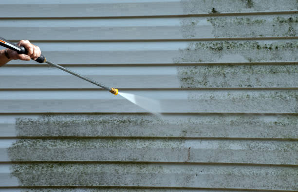Best Roof Cleaning and Mildew Removal in Alto, GA